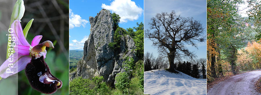 Nel cuore della Valmarecchia, entroterra di Rimini e crocevia dell’incontro fra più regioni a pochi passi dal Borgo Medievale di SAN LEO, a 400 metri sul livello del mare in una splendida posizione panoramica che domina tutta la vallata del torrente Marecchia e include una sorprendente vista sulla Fortezza di San Leo e i rilievi dell’Appennino si trova Villa Clara.